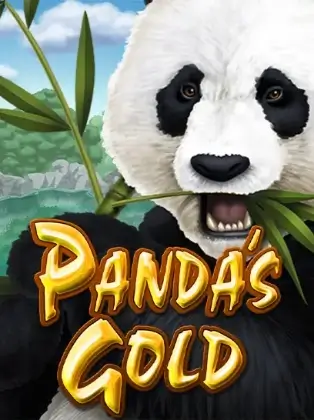 Panda's Gold