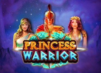 Princess Warrior