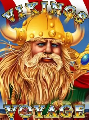 Viking's Voyage
