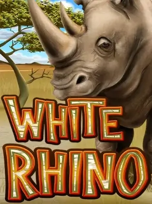 White Rhino